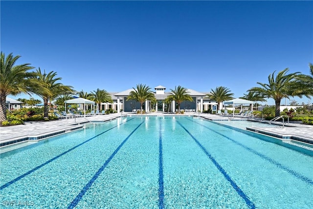 view of swimming pool featuring a patio area