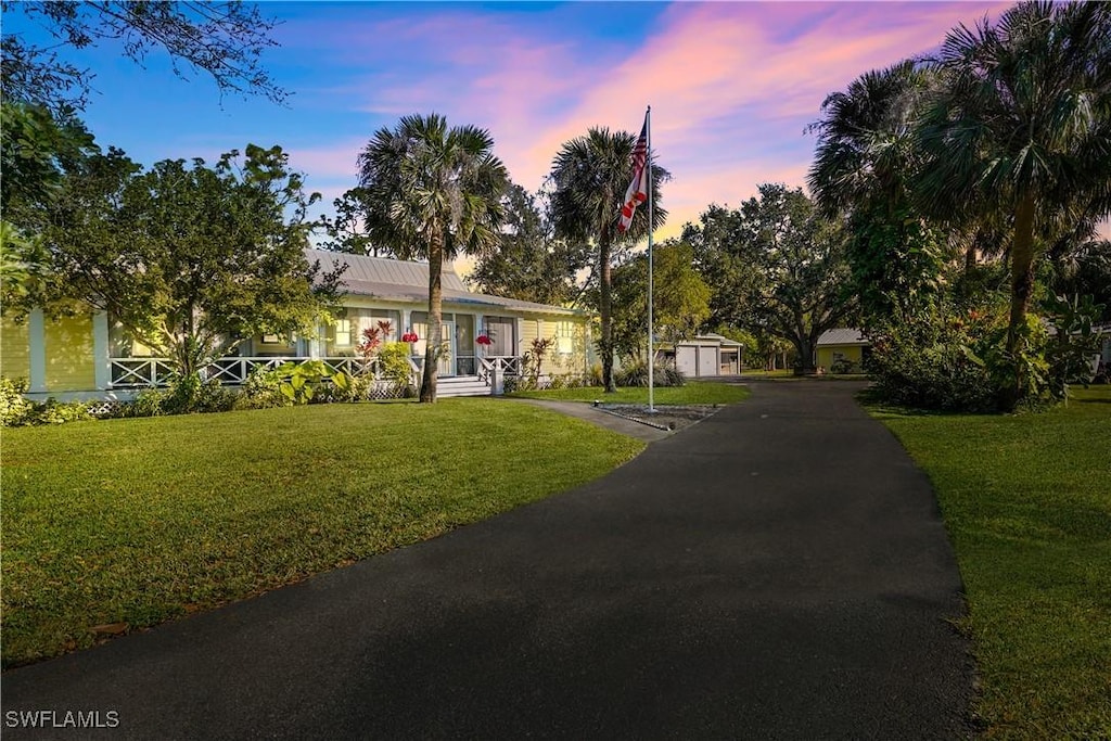 single story home featuring a yard and a storage shed