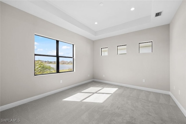 spare room featuring light colored carpet and a tray ceiling