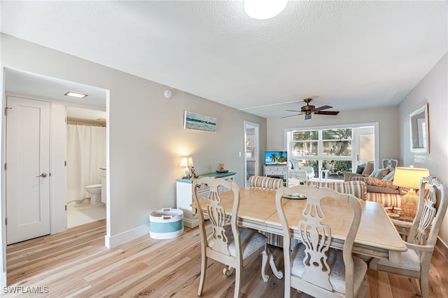 dining space with light hardwood / wood-style floors, ceiling fan, and a textured ceiling