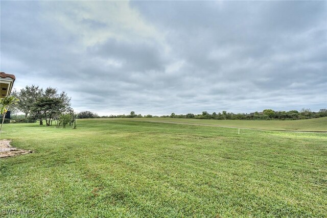 view of yard featuring a rural view