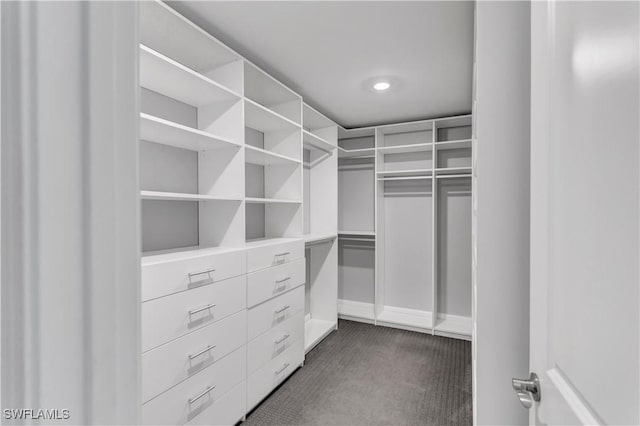 walk in closet featuring dark carpet