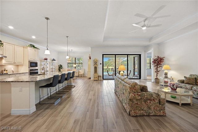 living room featuring ornamental molding, a tray ceiling, and light hardwood / wood-style flooring