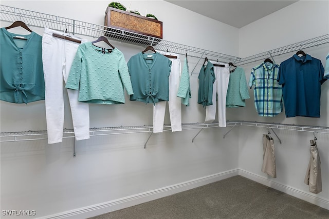 walk in closet with carpet floors