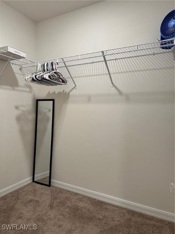 spacious closet with carpet floors