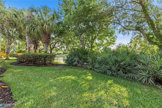 view of yard with a water view