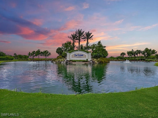 view of water feature