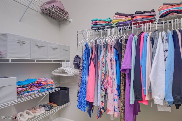 view of spacious closet