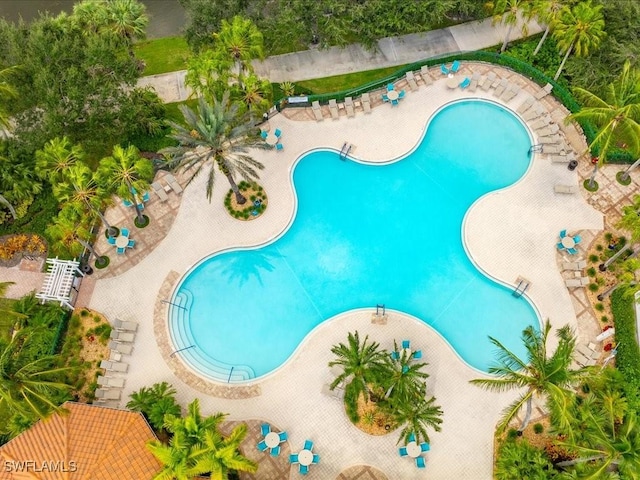 view of swimming pool with a patio area