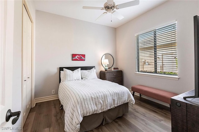 bedroom with ceiling fan, a closet, dark wood-type flooring, and multiple windows