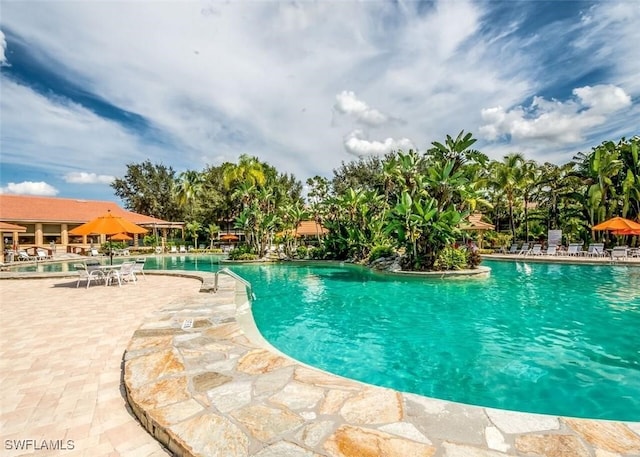 view of pool featuring a patio area