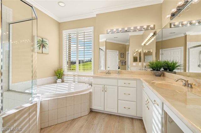 bathroom with vanity, ornamental molding, and independent shower and bath