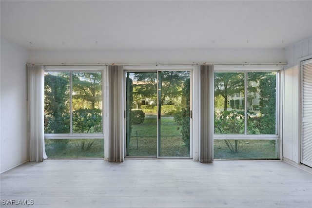 doorway to outside featuring a wealth of natural light and light hardwood / wood-style flooring