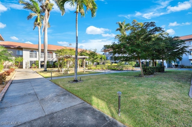 view of community featuring a yard