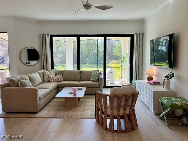 living room featuring ceiling fan and crown molding