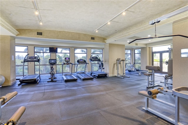 gym featuring vaulted ceiling, plenty of natural light, and french doors