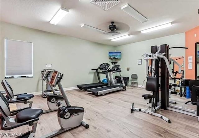 exercise room with ceiling fan and wood-type flooring