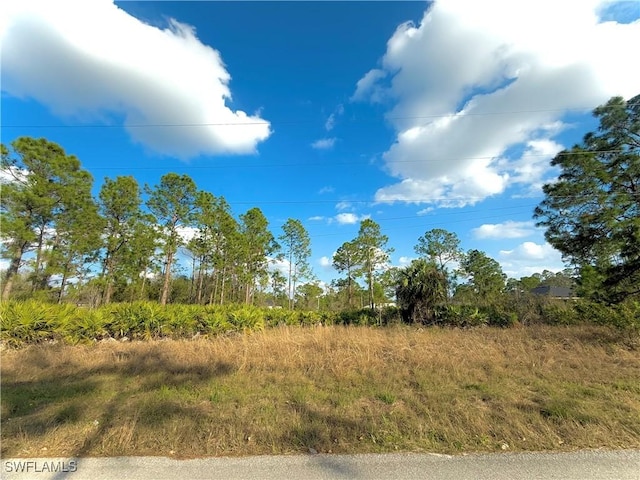 235 Narthex Ave S, Lehigh Acres FL, 33974 land for sale