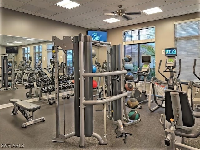 workout area with ceiling fan and a drop ceiling