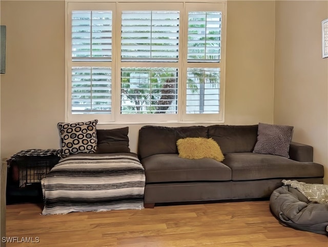 living room with light hardwood / wood-style floors