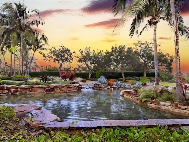 water view featuring a small pond