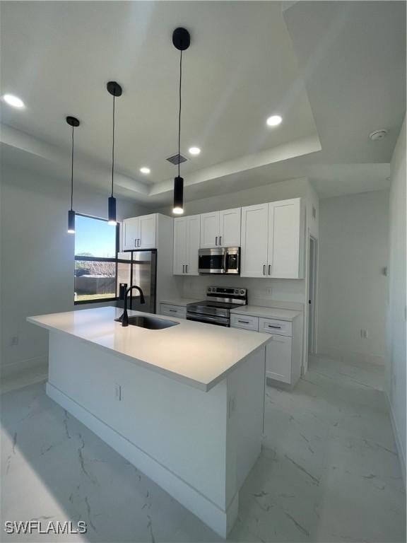 kitchen featuring white cabinets, appliances with stainless steel finishes, a tray ceiling, and sink