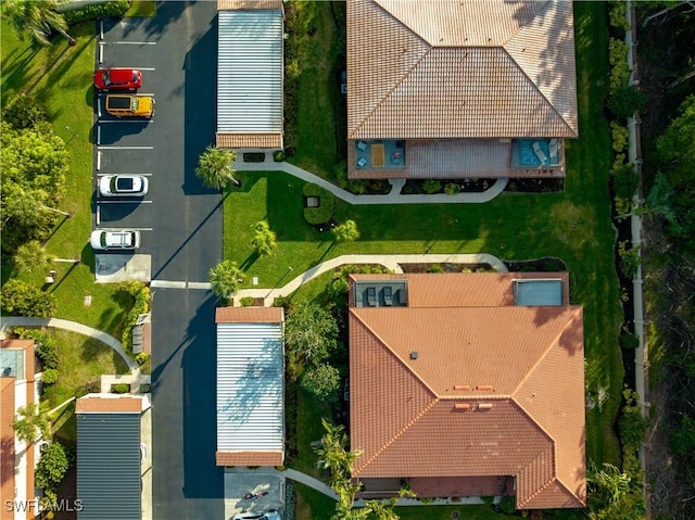 bird's eye view