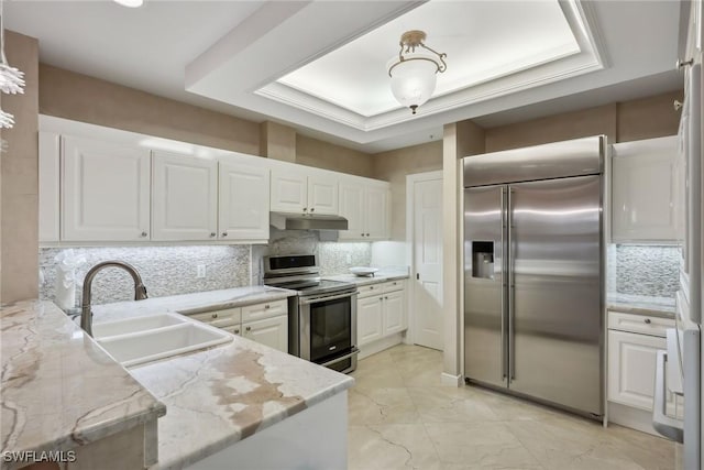 kitchen featuring sink, a raised ceiling, stainless steel appliances, light stone countertops, and white cabinets