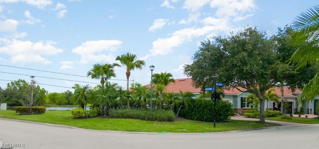 view of community featuring a yard