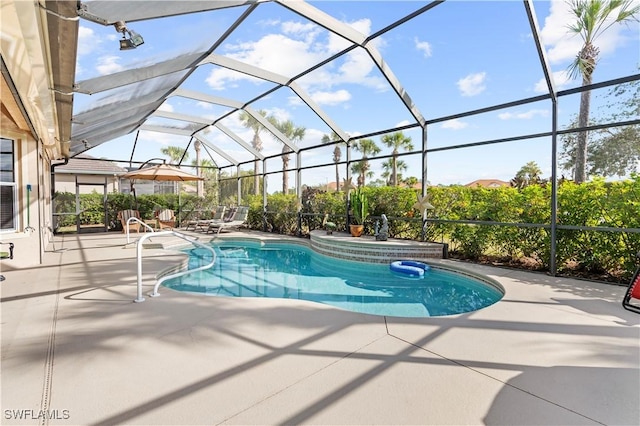 view of swimming pool with a lanai and a patio