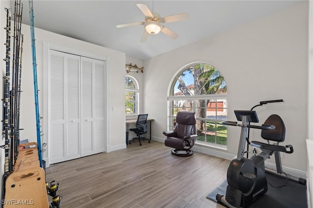 exercise area featuring light hardwood / wood-style floors, ceiling fan, and a healthy amount of sunlight