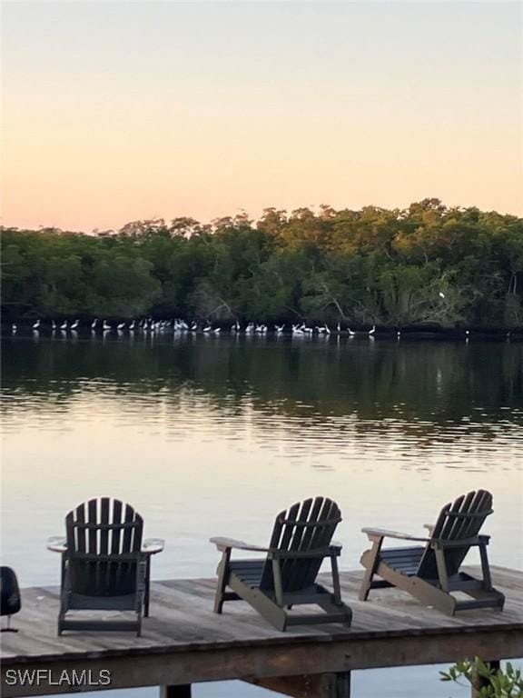 view of dock with a water view