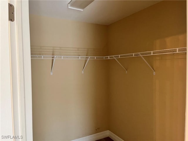 view of walk in closet