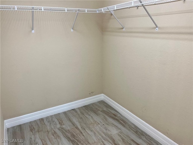 walk in closet with wood-type flooring