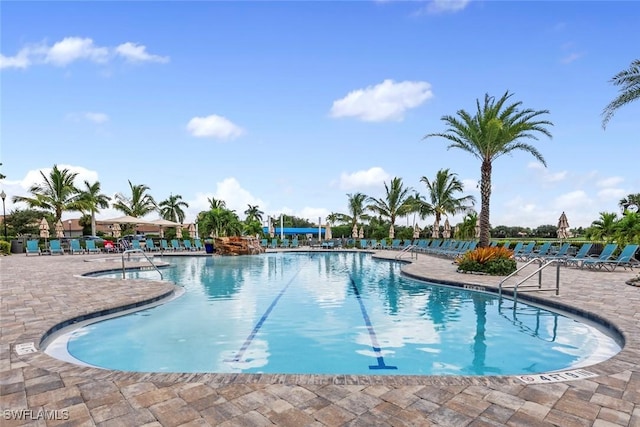 view of swimming pool with a patio area