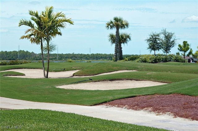 view of home's community with a yard