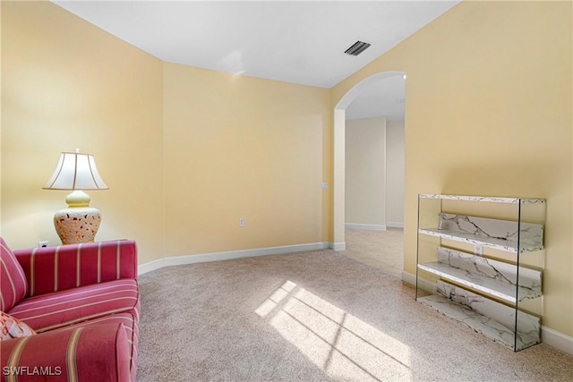 sitting room with carpet flooring