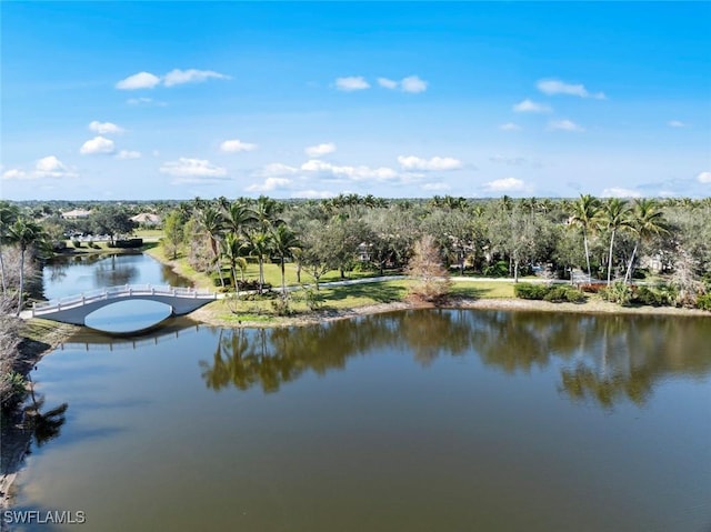 property view of water