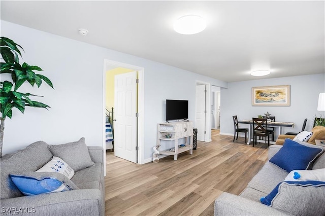 living room with light hardwood / wood-style flooring