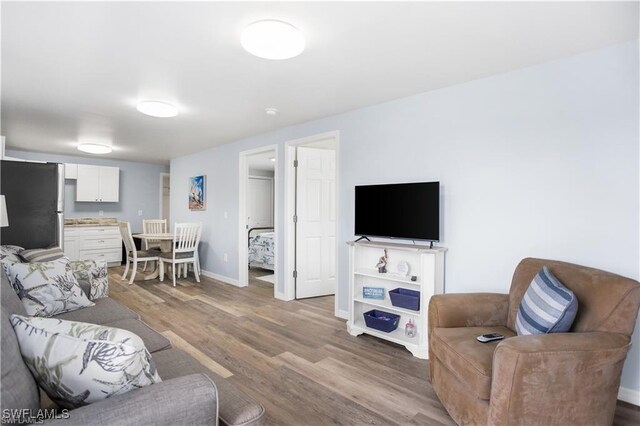 living room featuring wood-type flooring