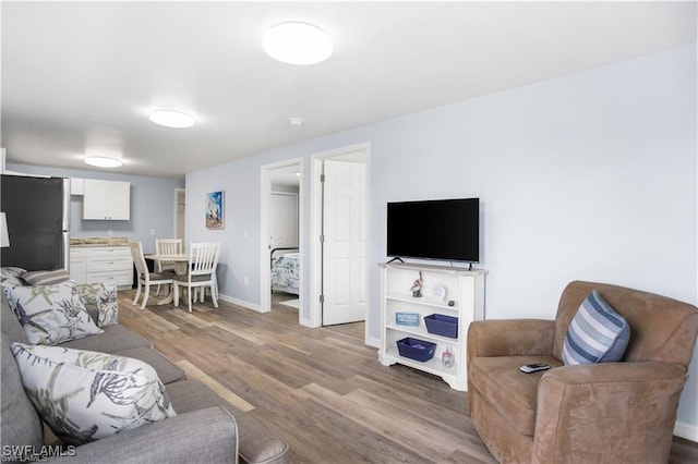 living room with hardwood / wood-style floors