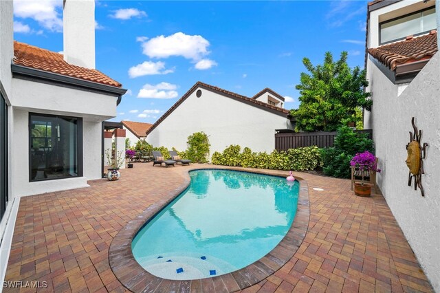 view of swimming pool with a patio