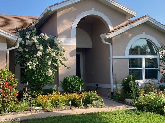 view of exterior entry with stucco siding