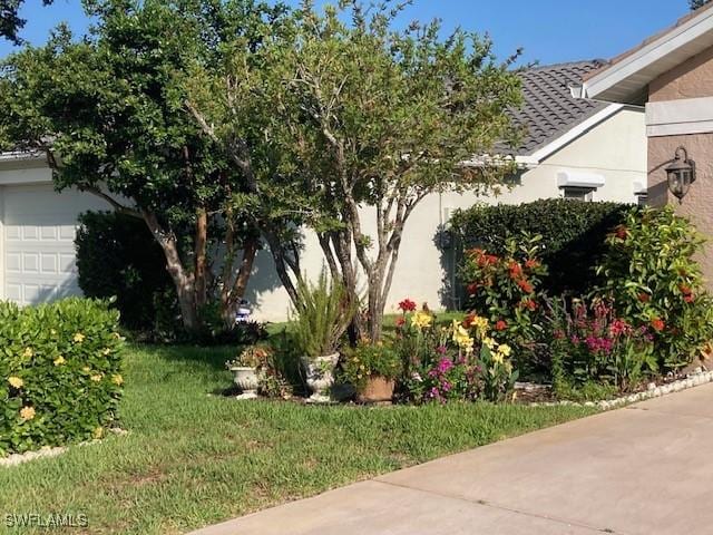 exterior space with stucco siding and a yard