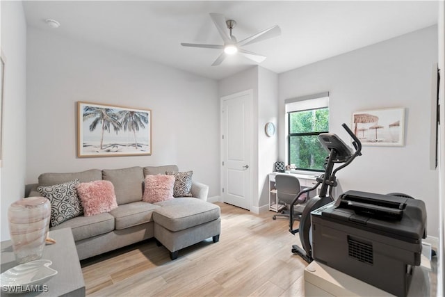 workout room with ceiling fan and light wood-type flooring