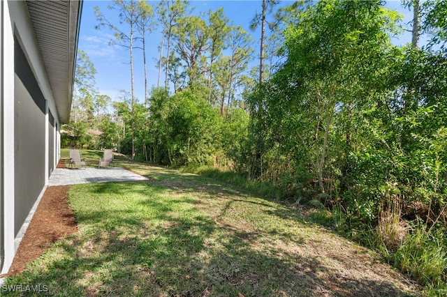 view of yard with a patio area