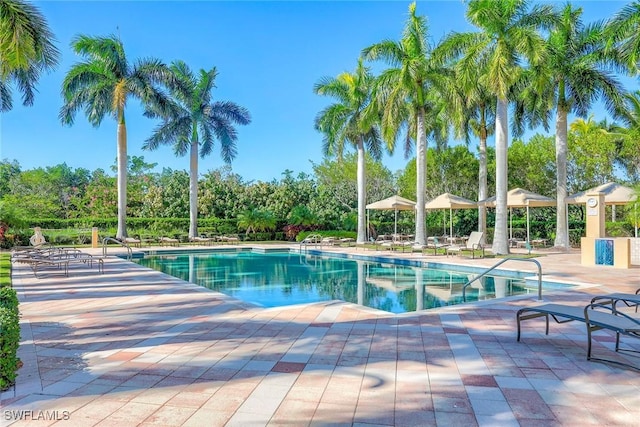 view of pool with a patio area