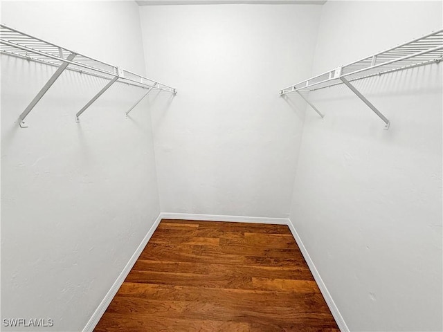 walk in closet featuring wood-type flooring