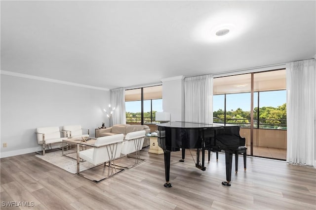 miscellaneous room with plenty of natural light, crown molding, and light hardwood / wood-style flooring