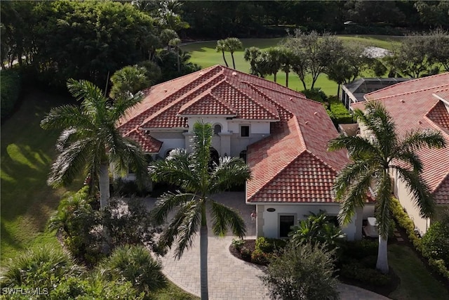 bird's eye view